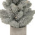 16" LED Lighted Mini Frosted Pine Christmas Tree in Cement Base
